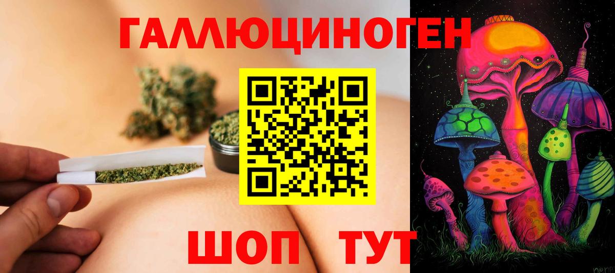 Галлюциногенные грибы GOLDEN TEACHER  Вход с VPN  Прохладный 